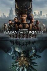 Nonton film Black Panther: Wakanda Forever (2022)